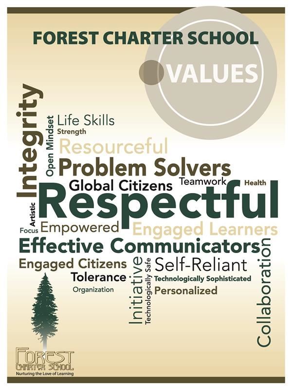 Values 